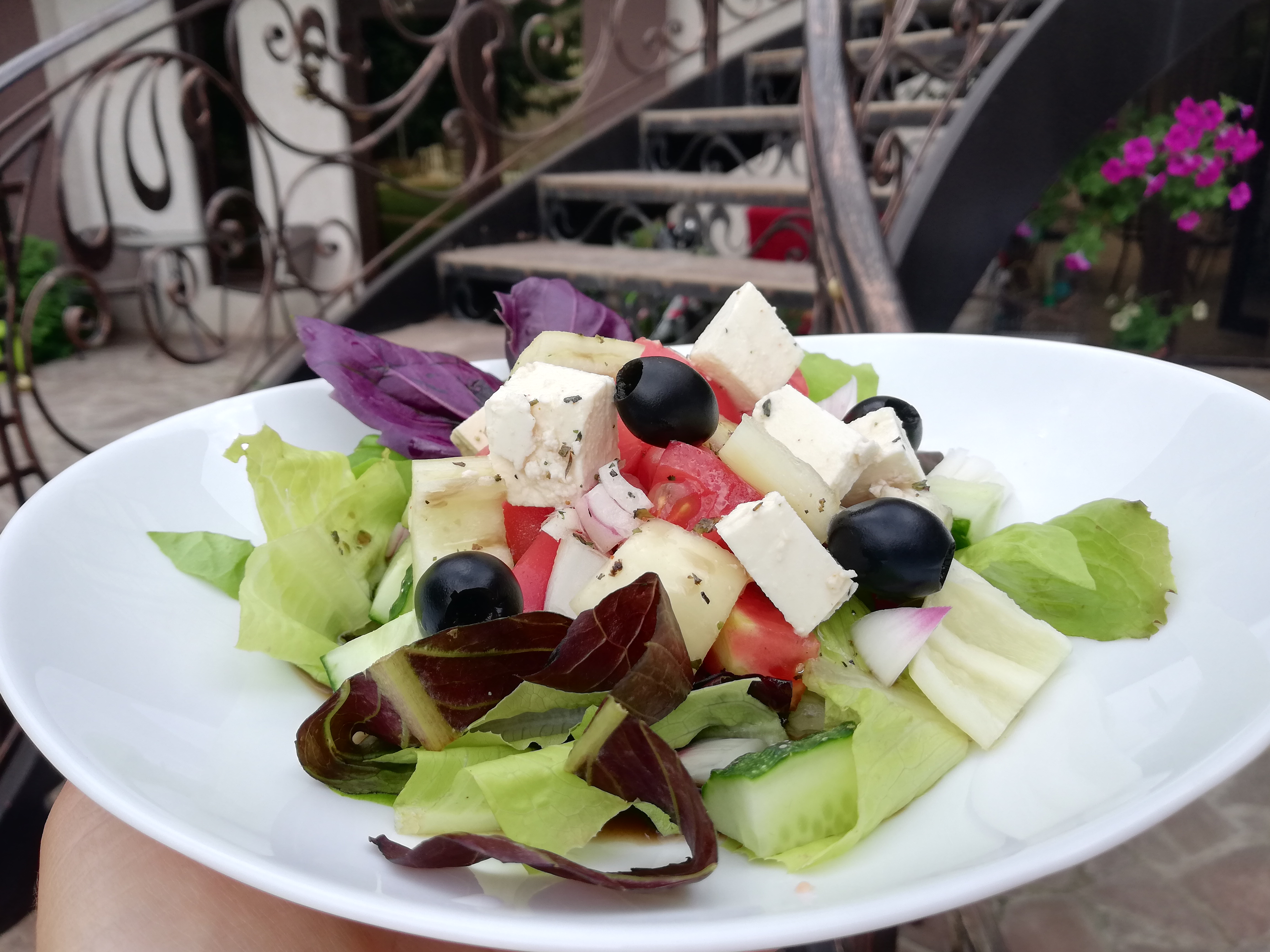 Фото Берёзка Юг