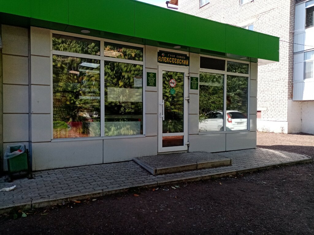 Ərzaq mağazası Alekseyevsky, Başqırdıstan Respublikası, foto