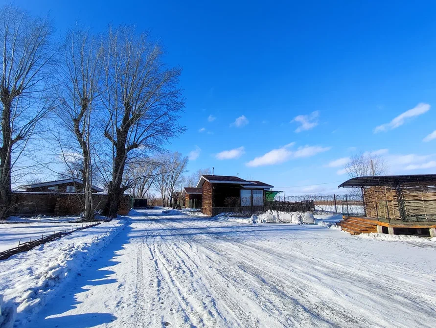 Фото Каменские Плёсы