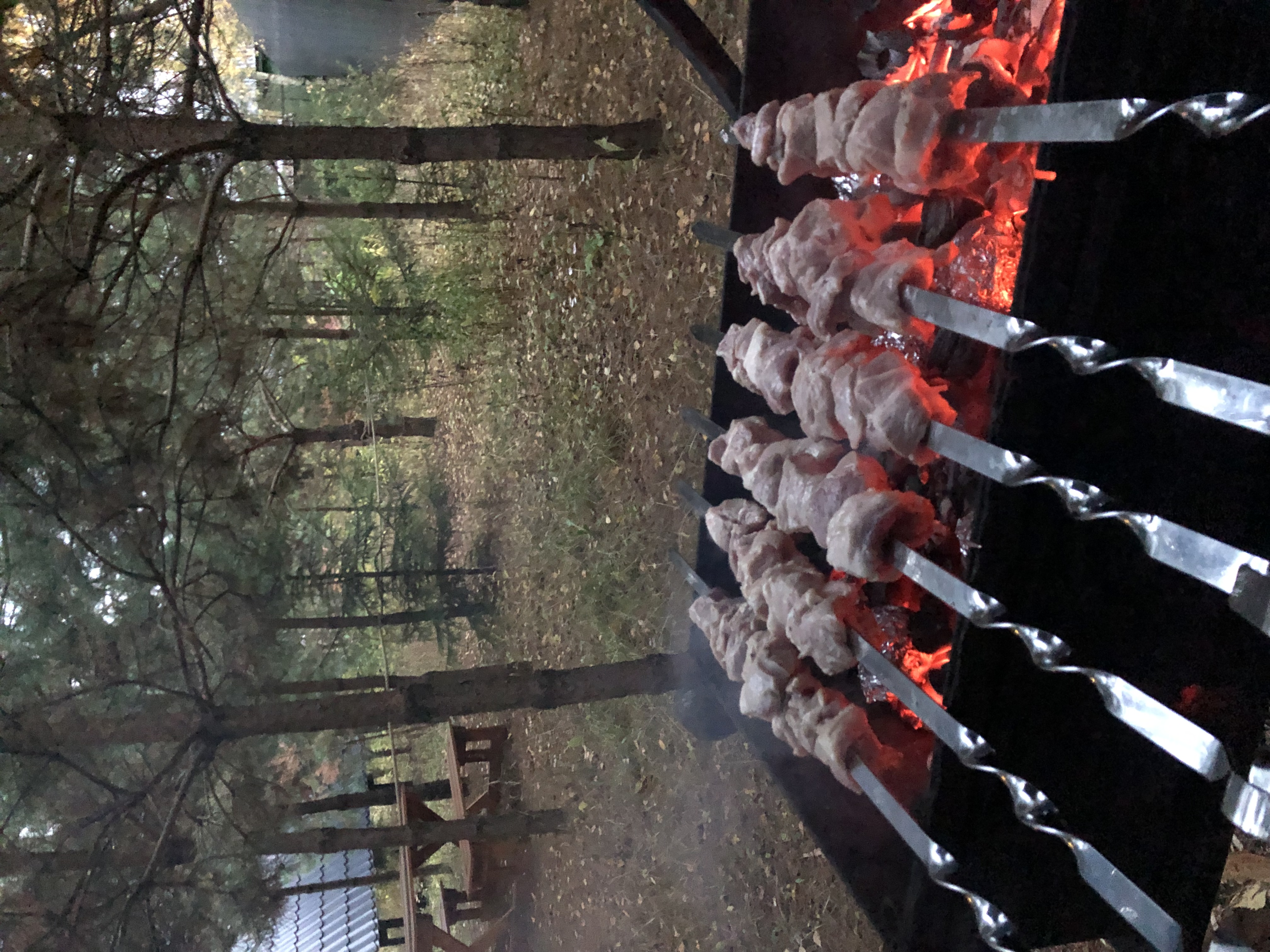 Фото Кусочек рая в соснах