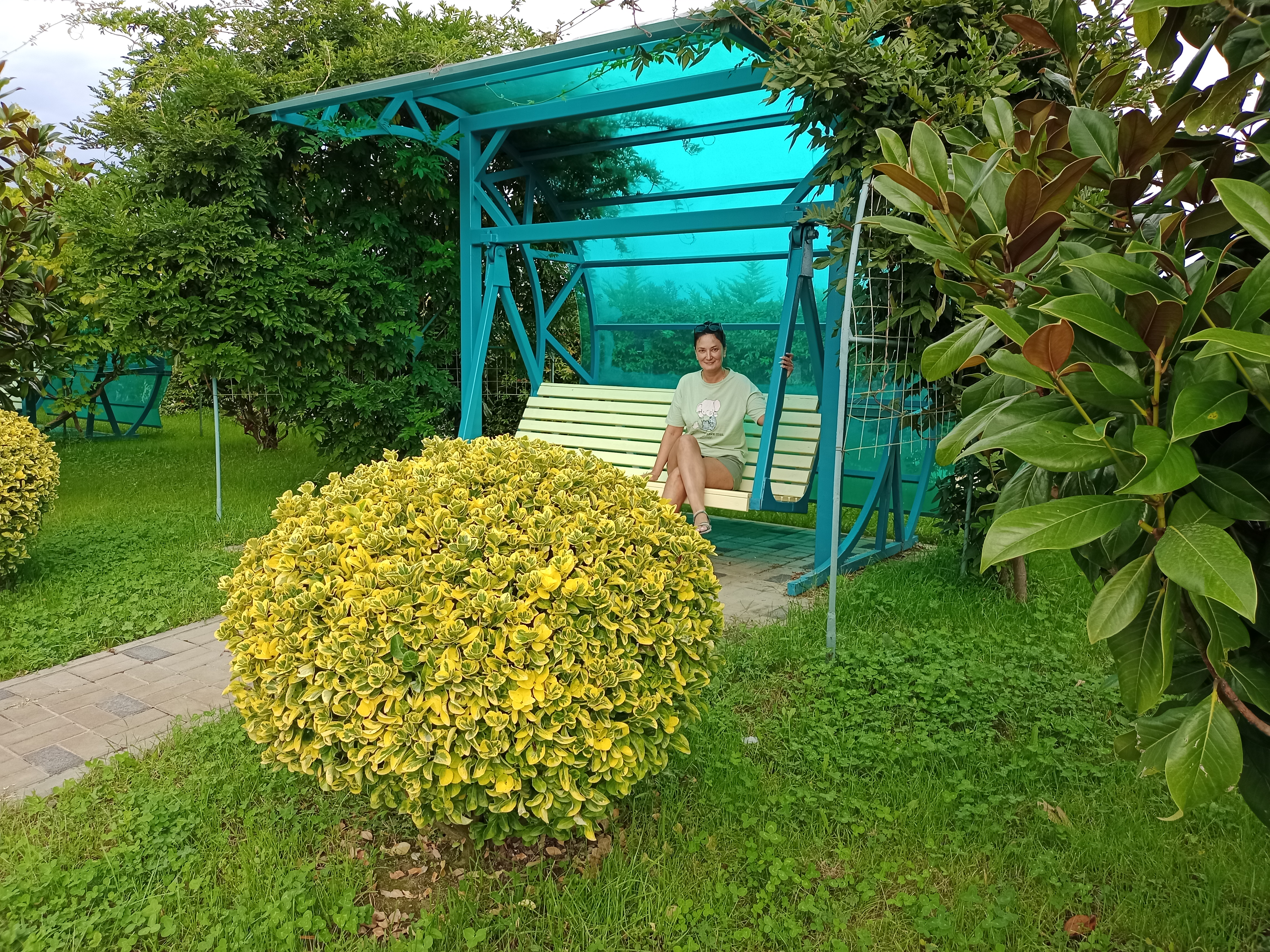 Фото Золотой огонек