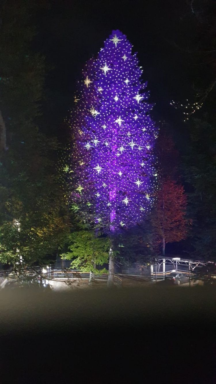 Фото Архыз Фемили Клаб