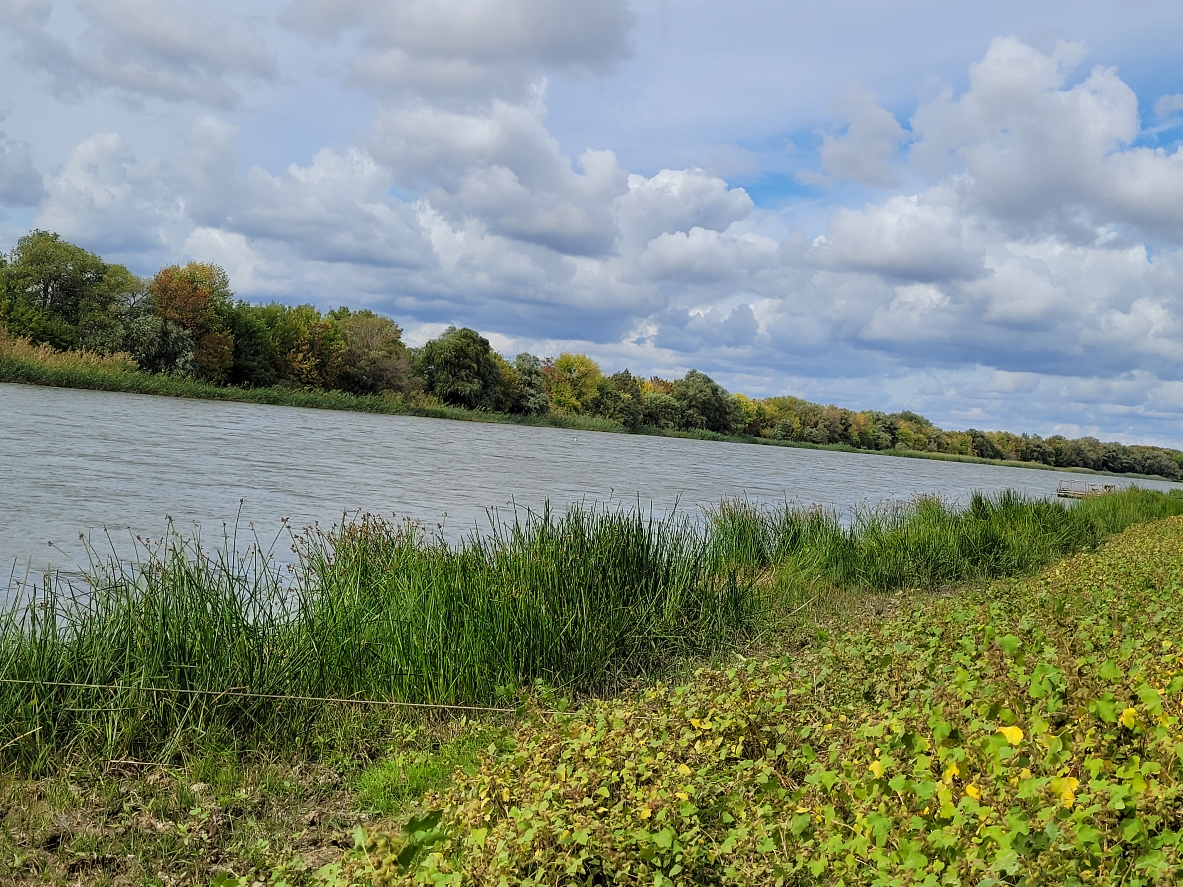 Фото Уваринка