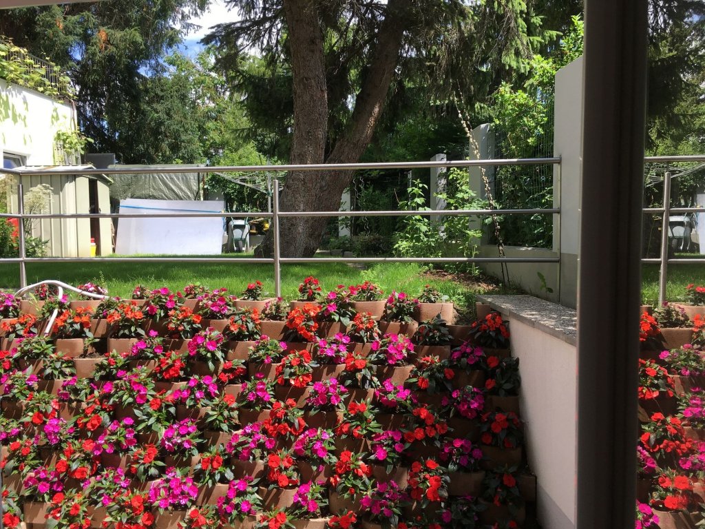 Фото Ajo Apartments Danube