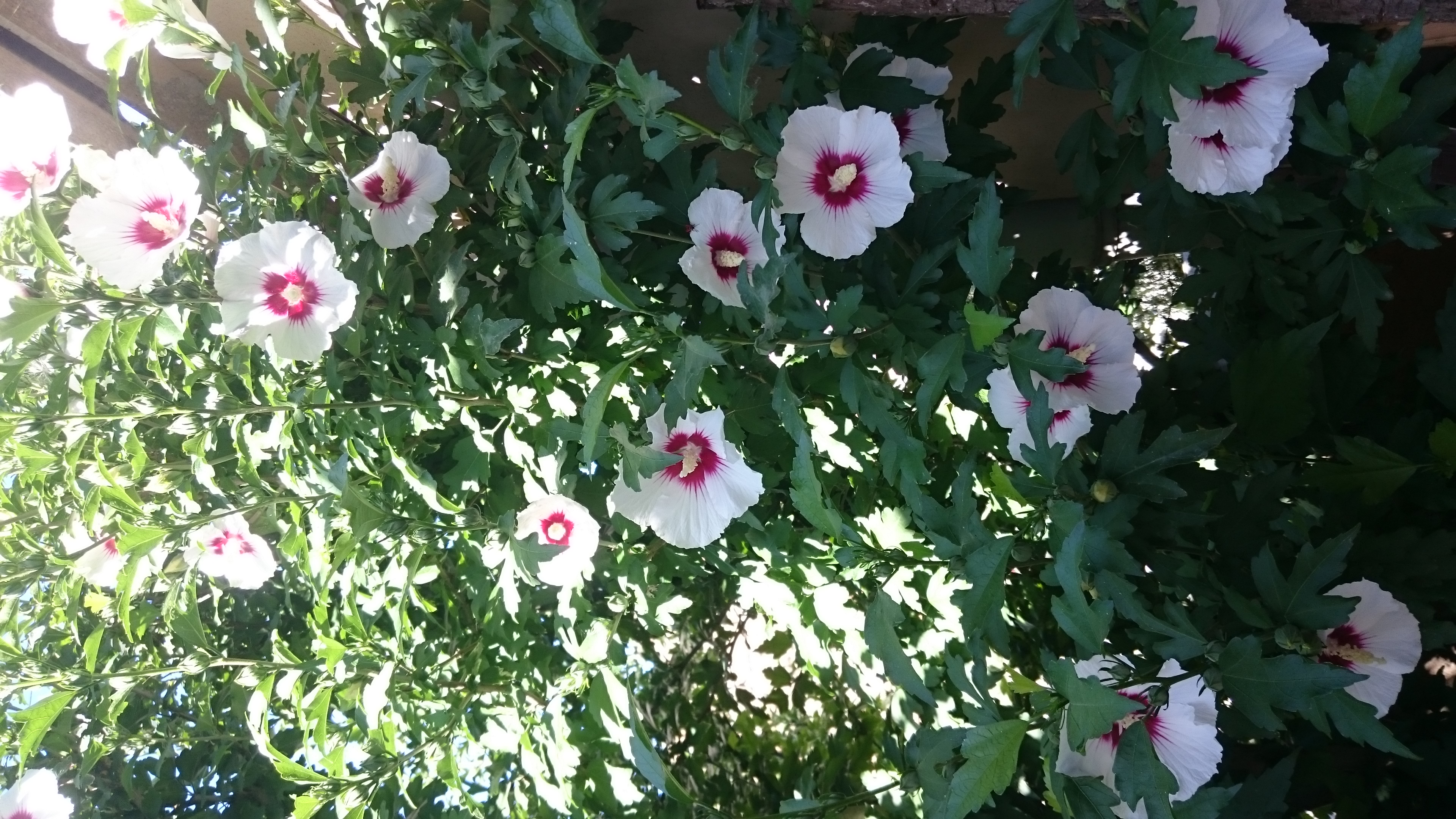 Фото ТО, что надо!