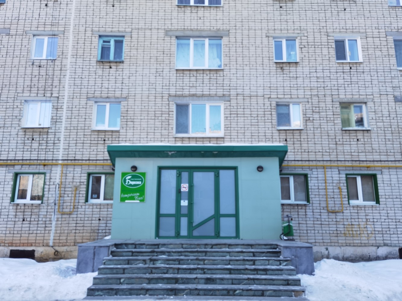 Фото Березка