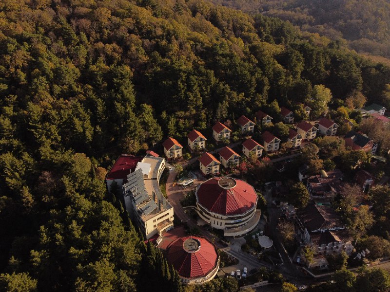 Фото Дивный