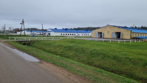 Животноводческое хозяйство Калининское, Тверская область, фото