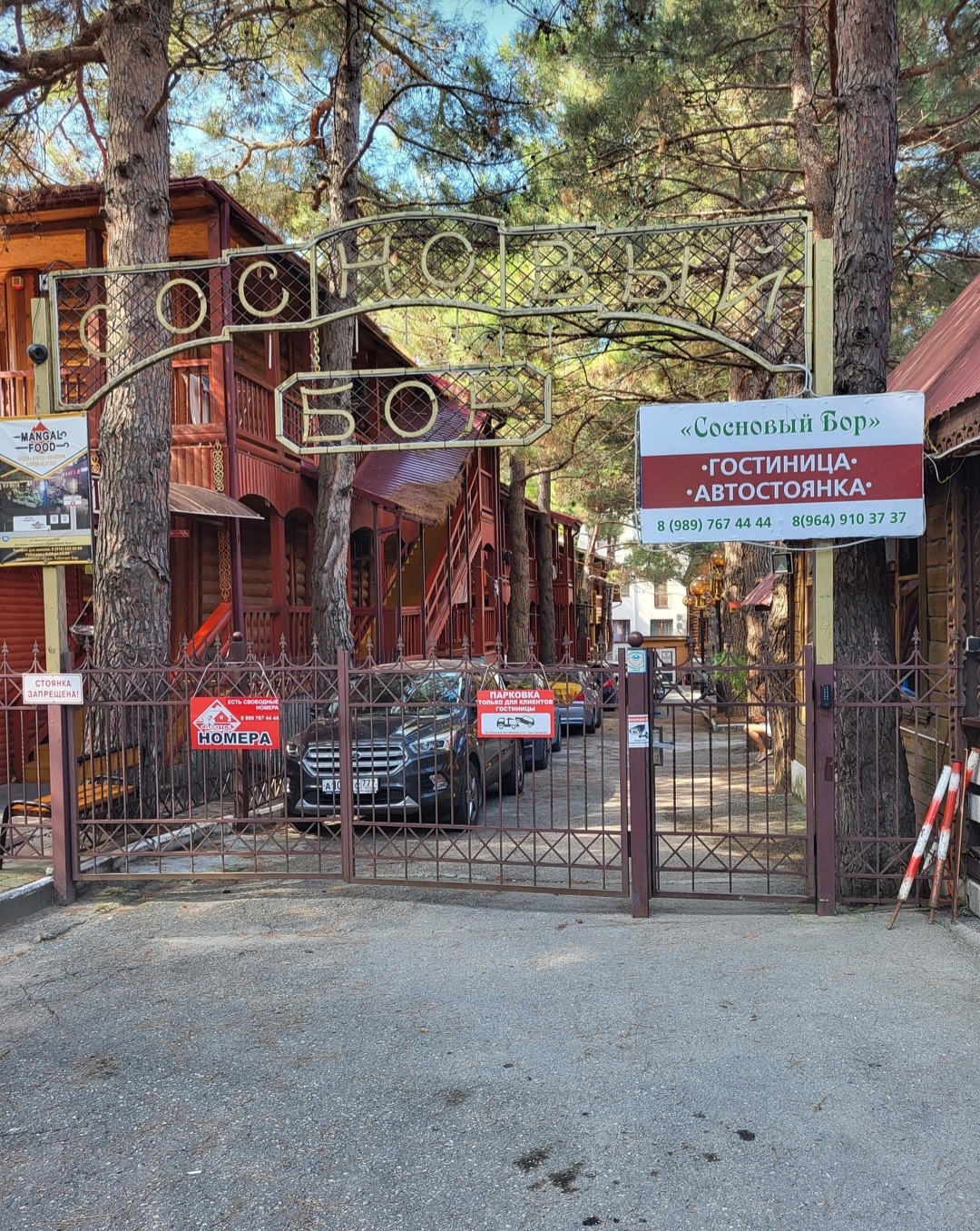 Фото Сосновый бор