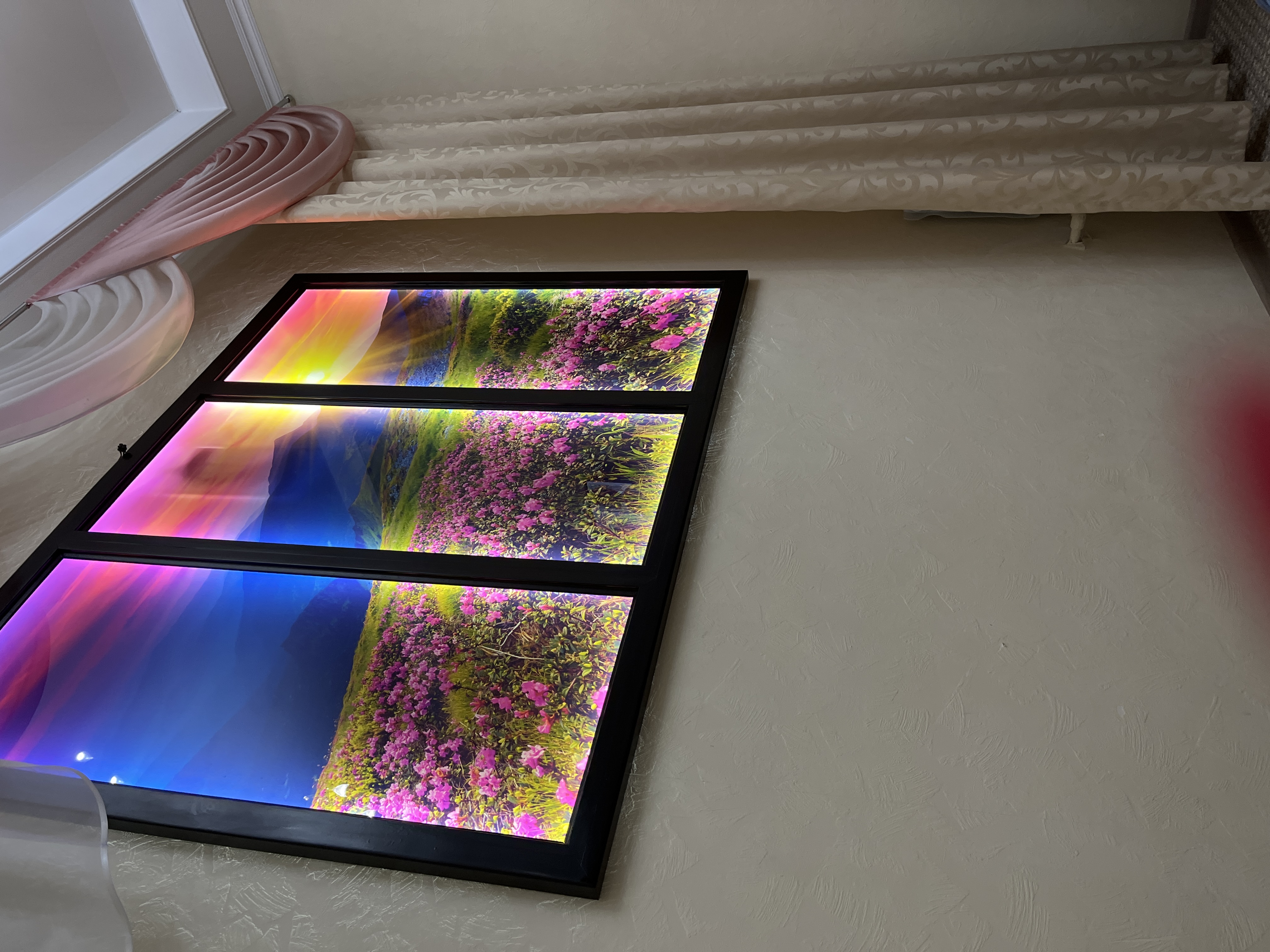 Фото Алекс Холл