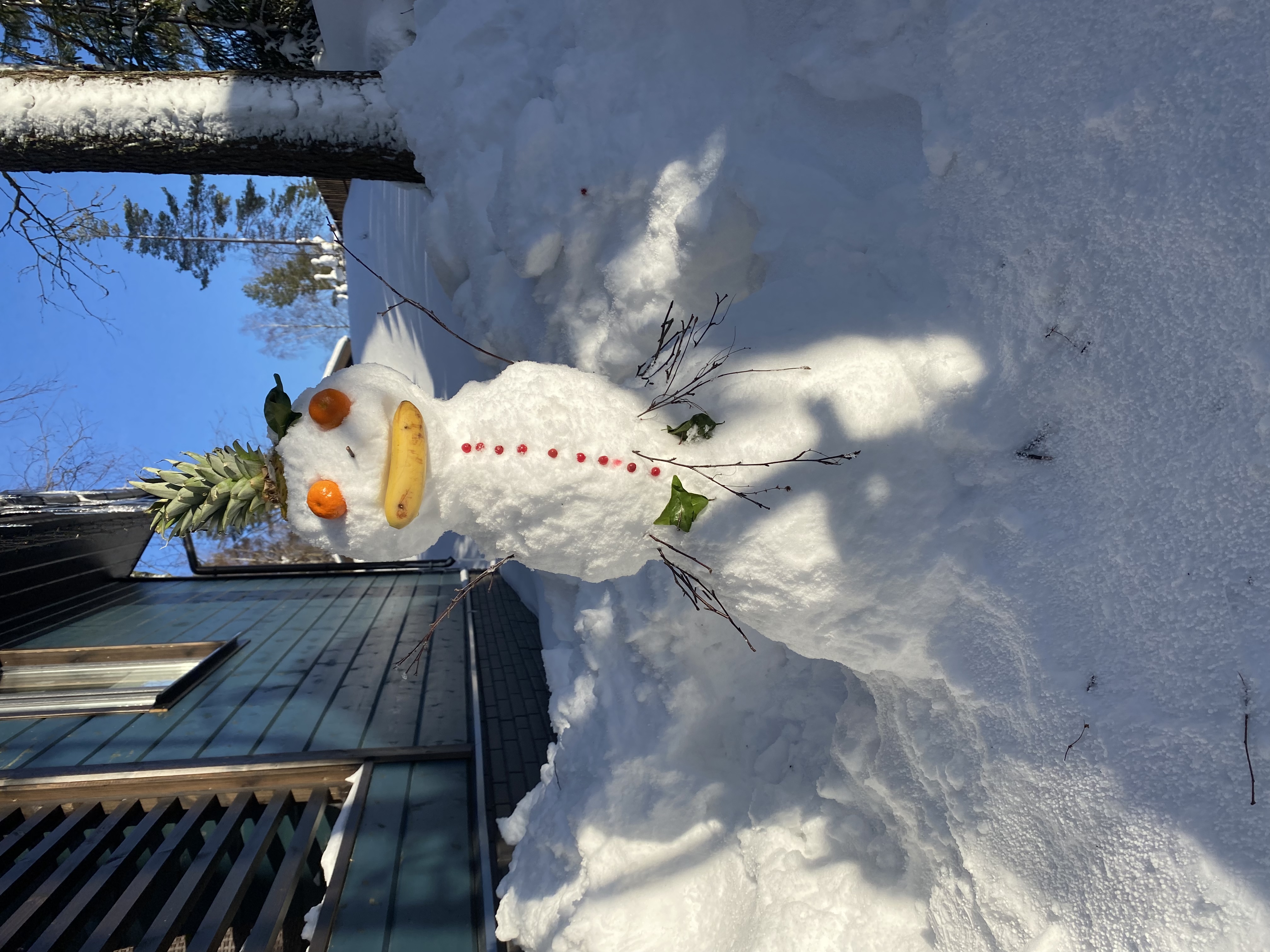 Фото Yagodavillage