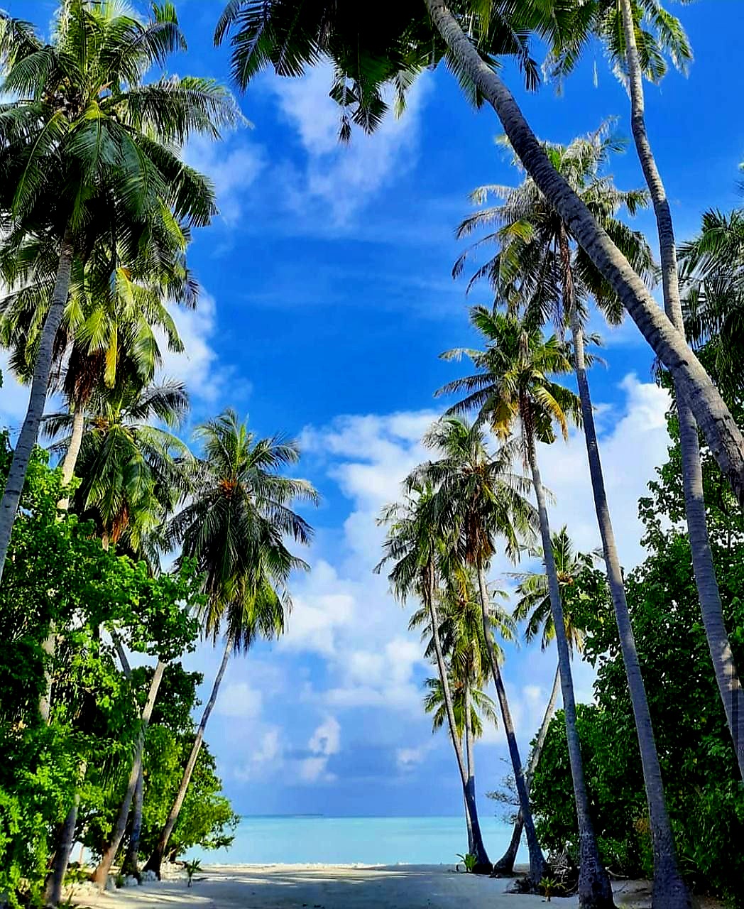 Фото Kaani Grand Seaview