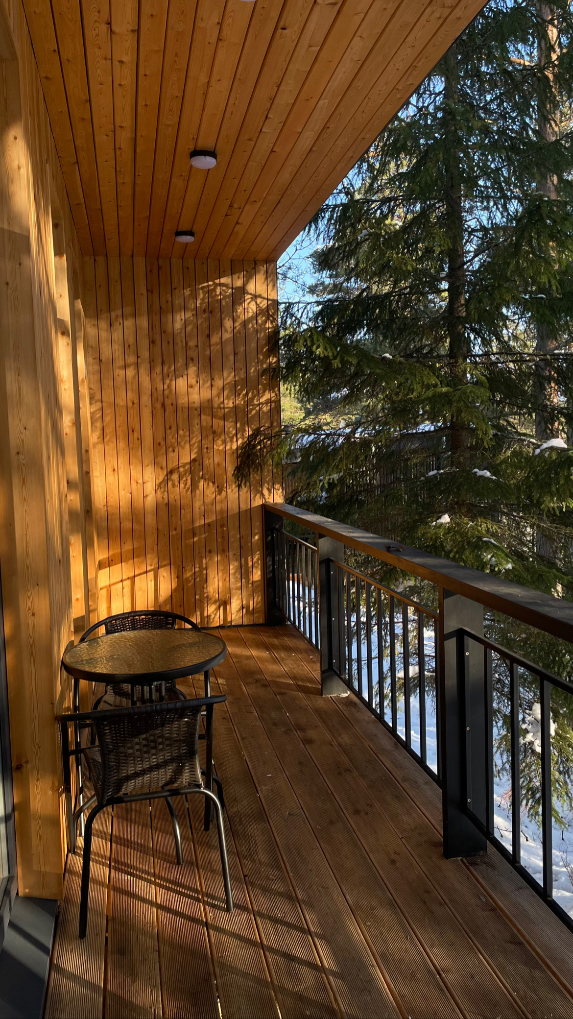 Фото Чайка 1918