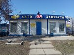 Magazin Avtozapchasti 19 mikrorayon (Pushkaryova Street, 29Б), auto parts and auto goods store