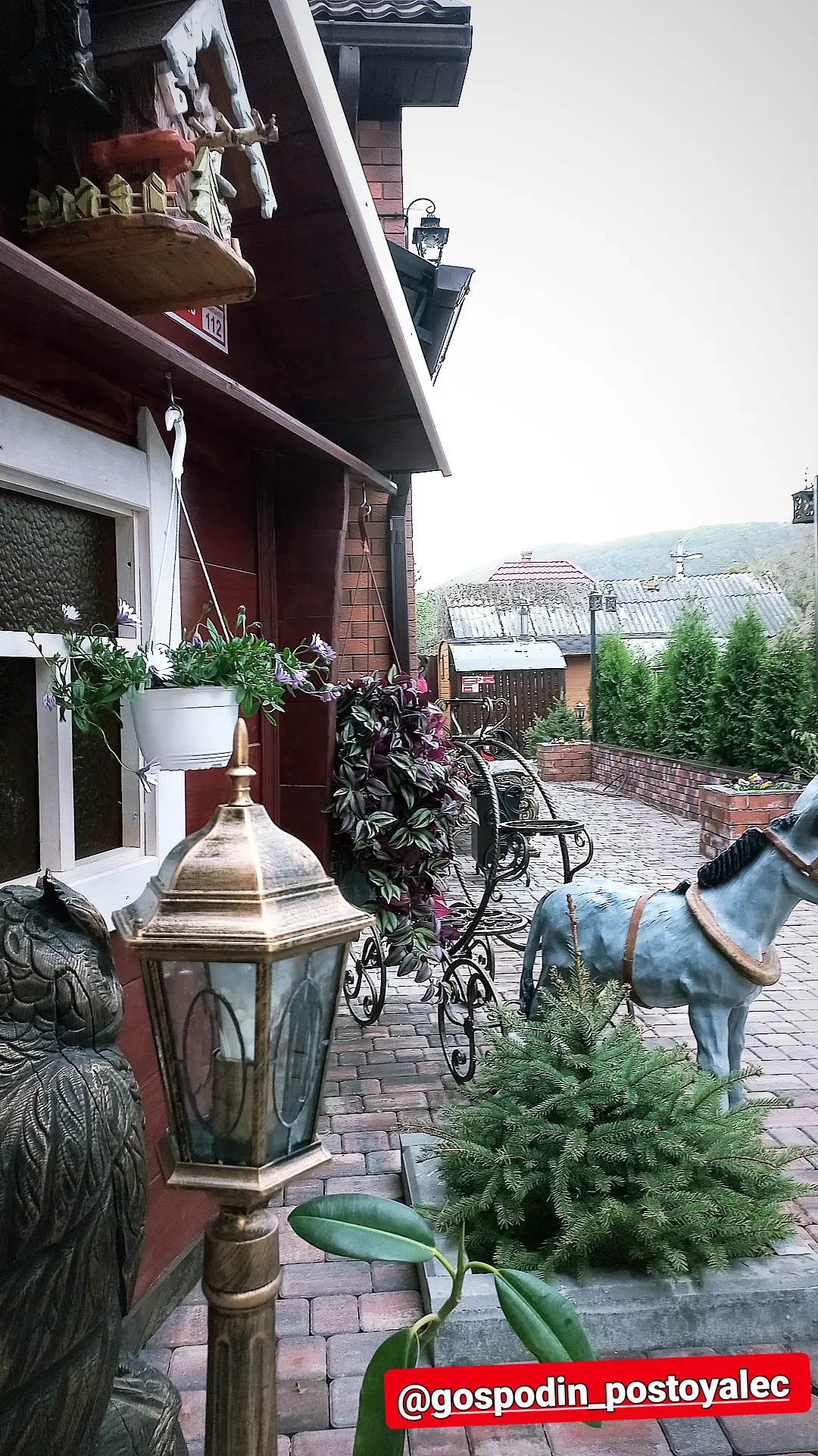 Фото Господин Постоялец