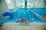 BabyShark (Moskovskaya Street, 41) ، حمام السباحة