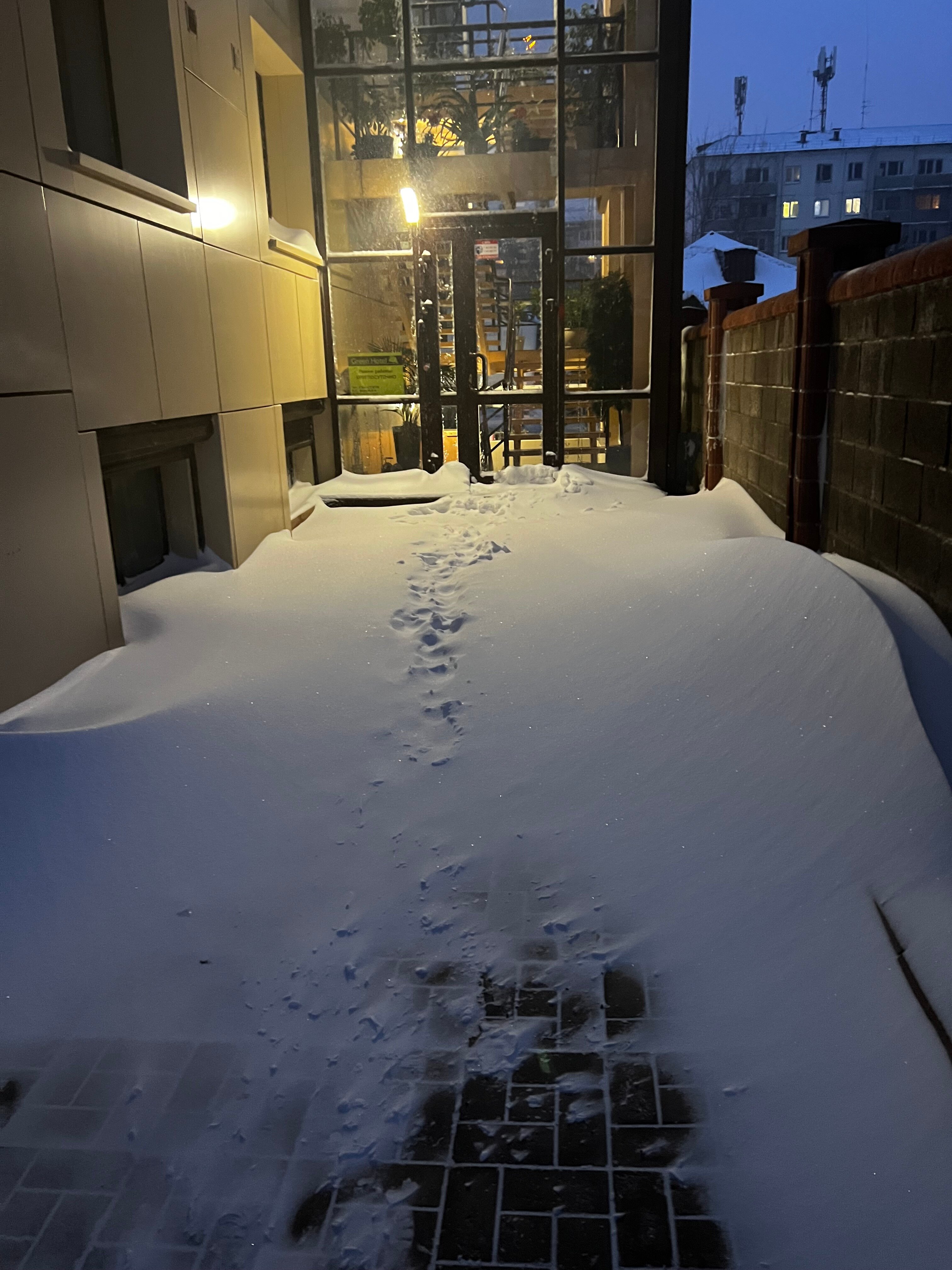 Фото Green Hotel