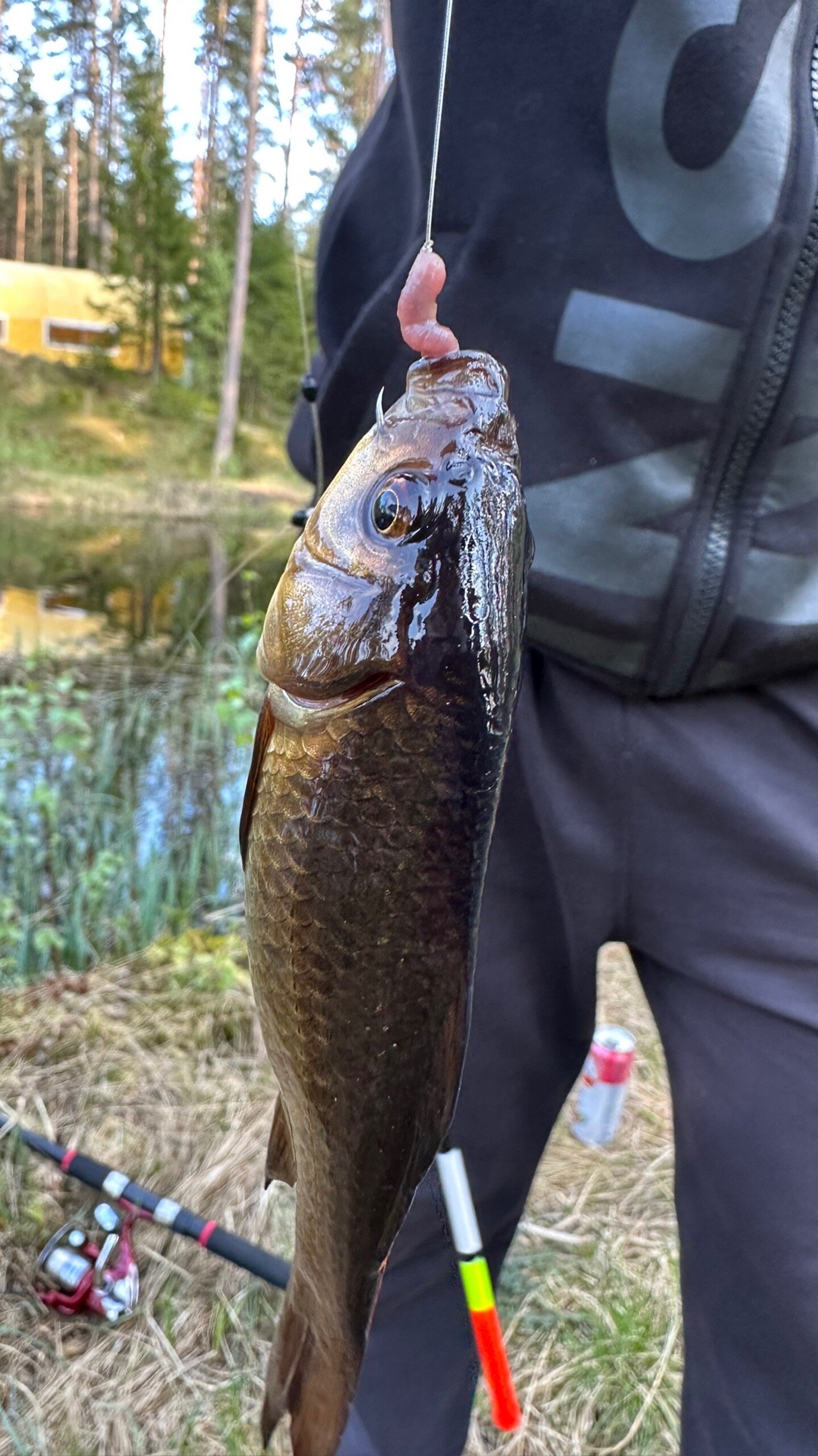 Фото Коробицыно Каскад