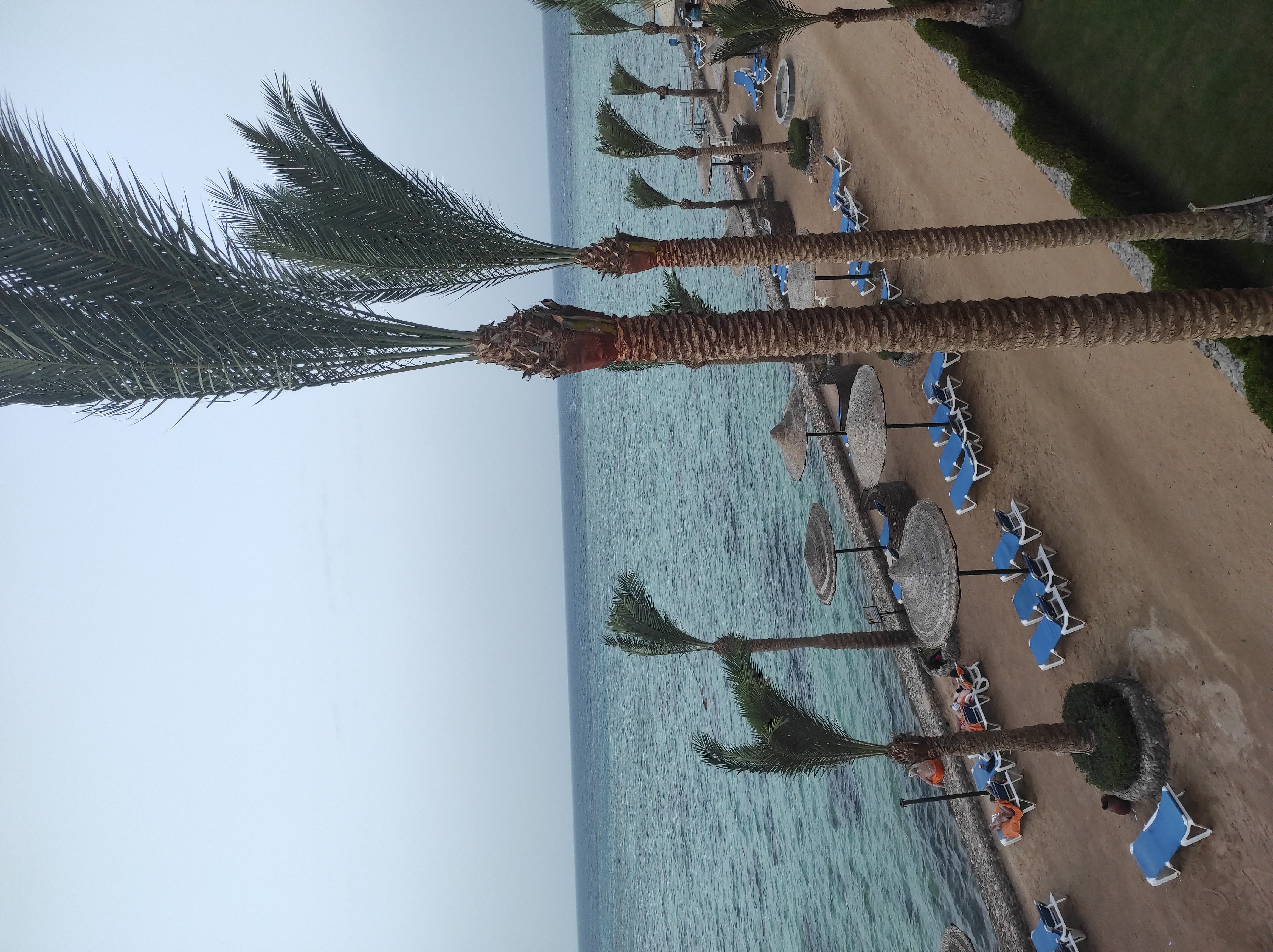 Фото Sunny Days Resort SPA & Aqua Park