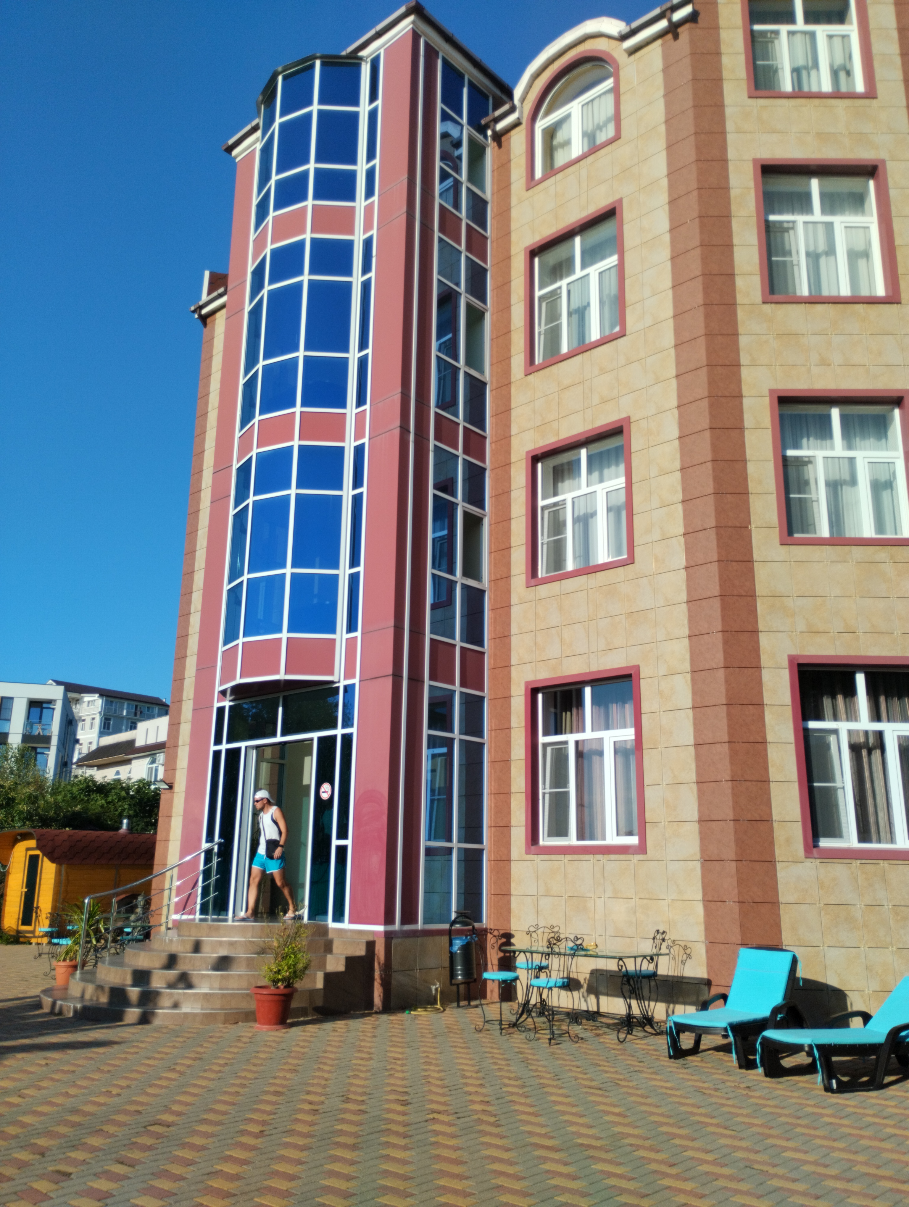 Фото Эдельвейс