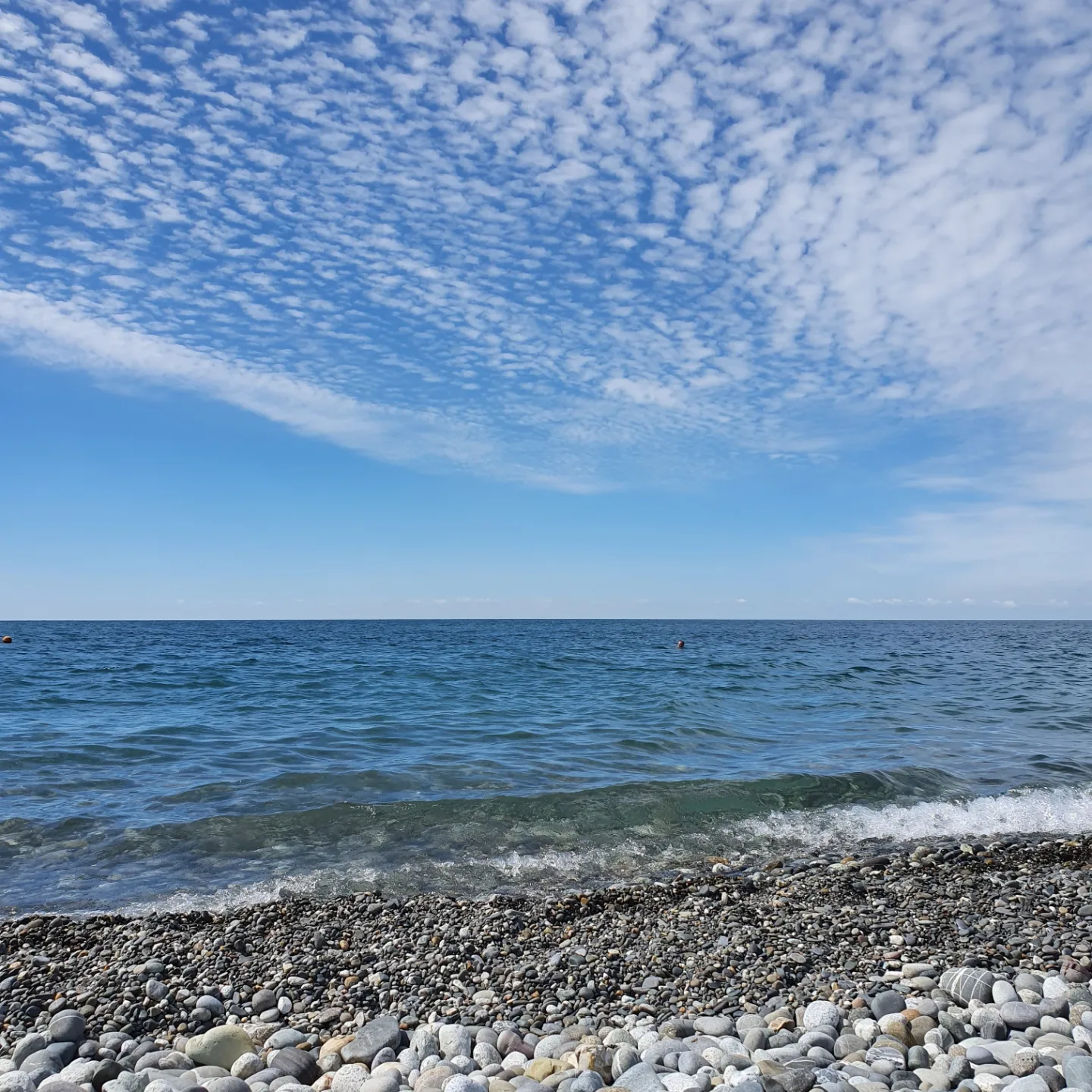 Фото Loo de luxe