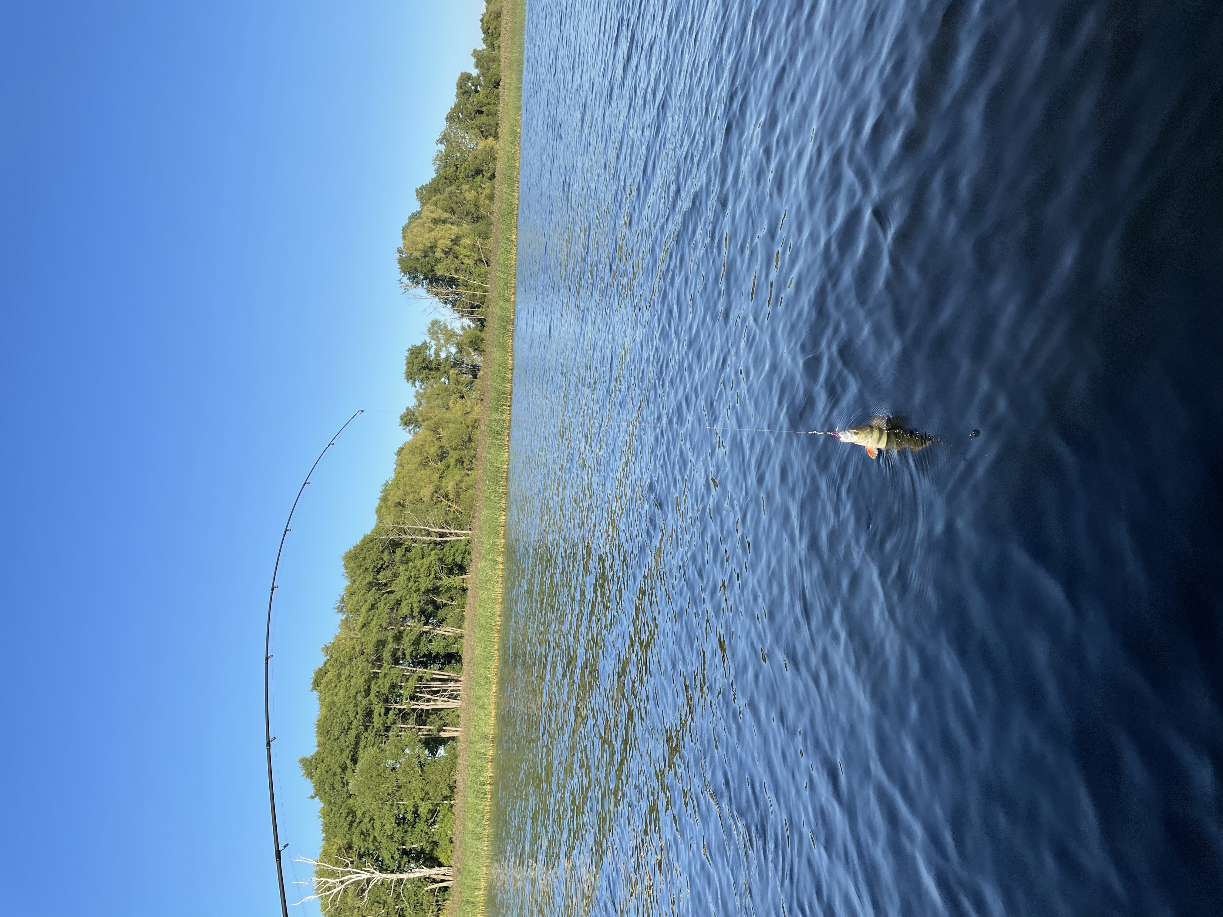 Фото Три медведя