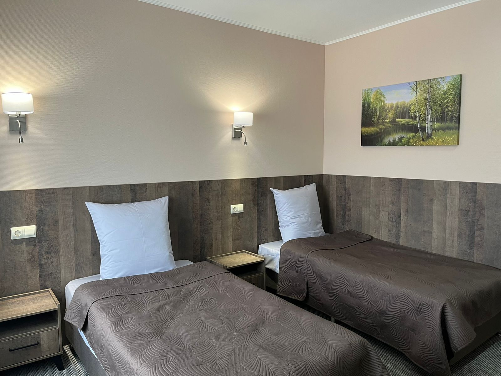 Фото Викинг