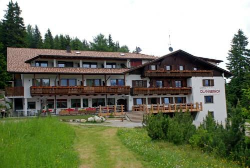 Гостиница Hotel Olangerhof Mountain Resort