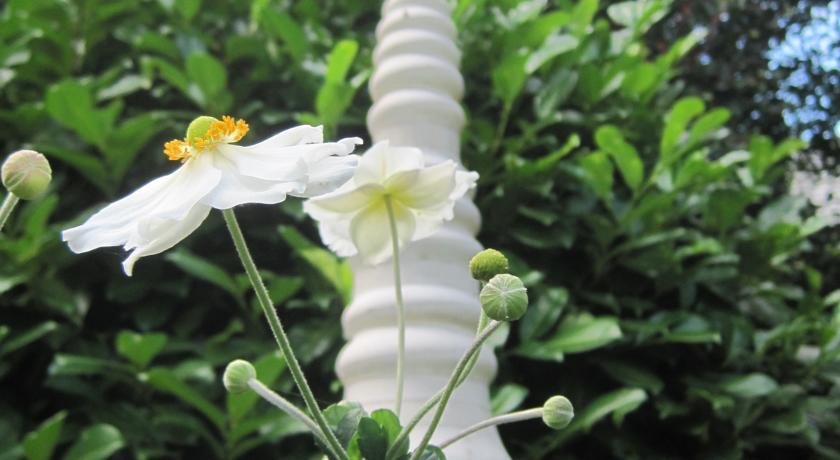 Фото Pelham House