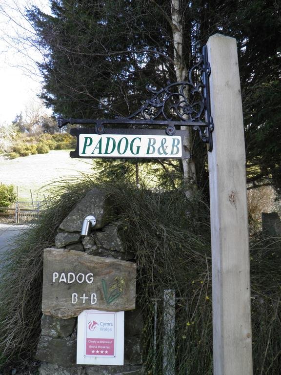 Фото Padog B&b