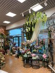 Fantasctic Plastic Boombastic (Krasnoarmeyskoe Highway, вл105), artificial plants and flowers