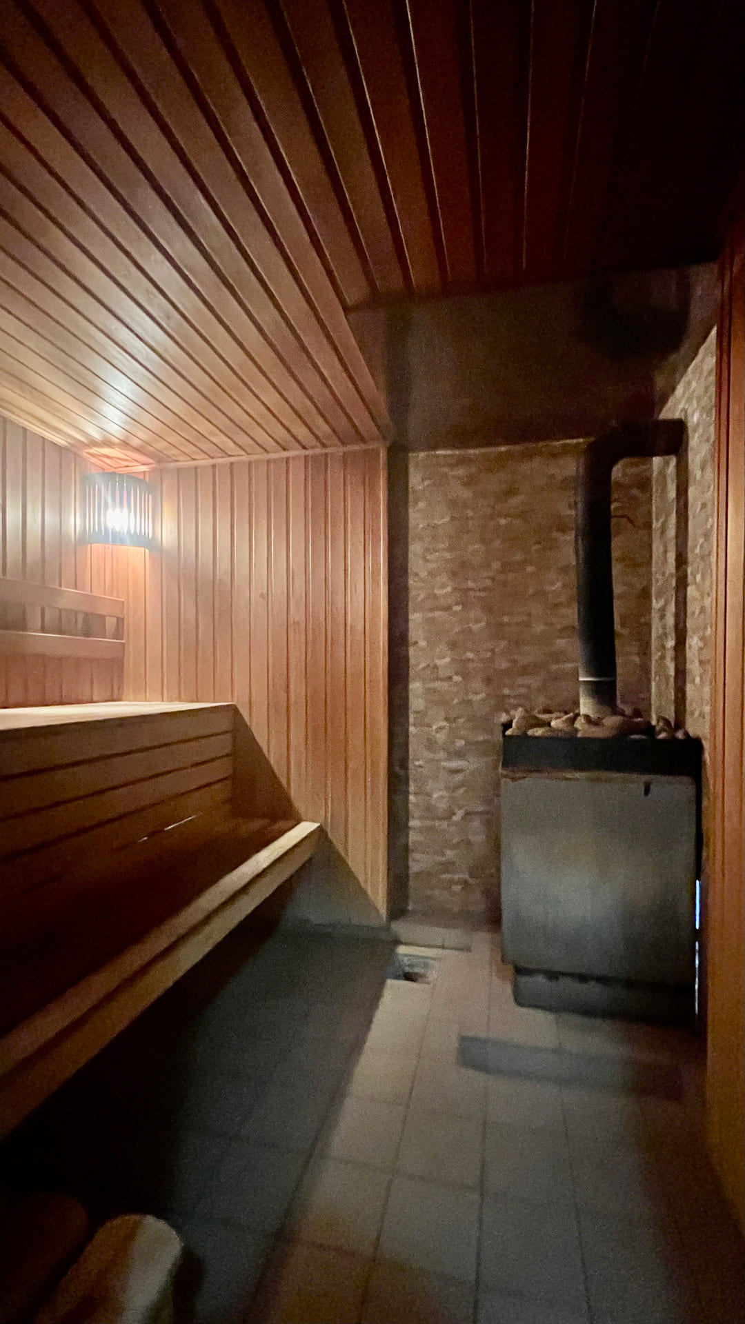 Фото Ласточка