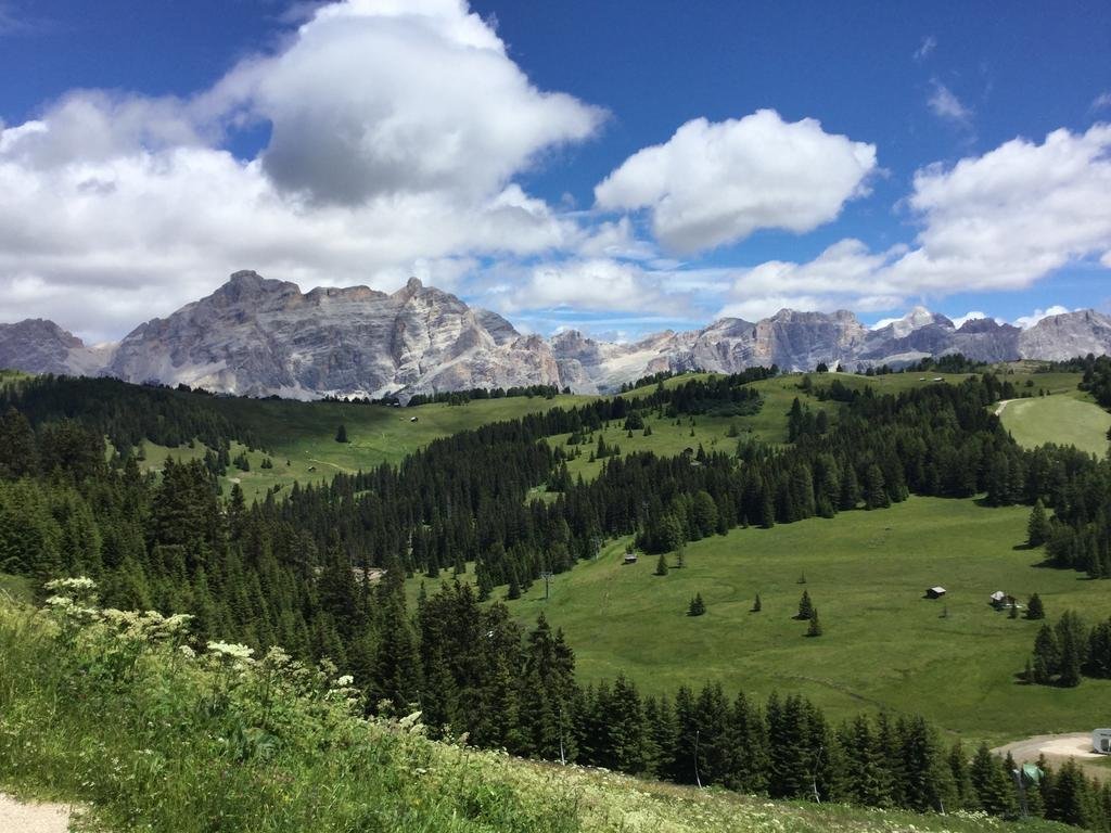 Фото Hotel Sassongher