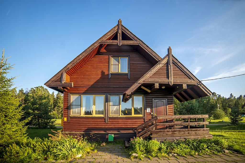 Фото Медведица