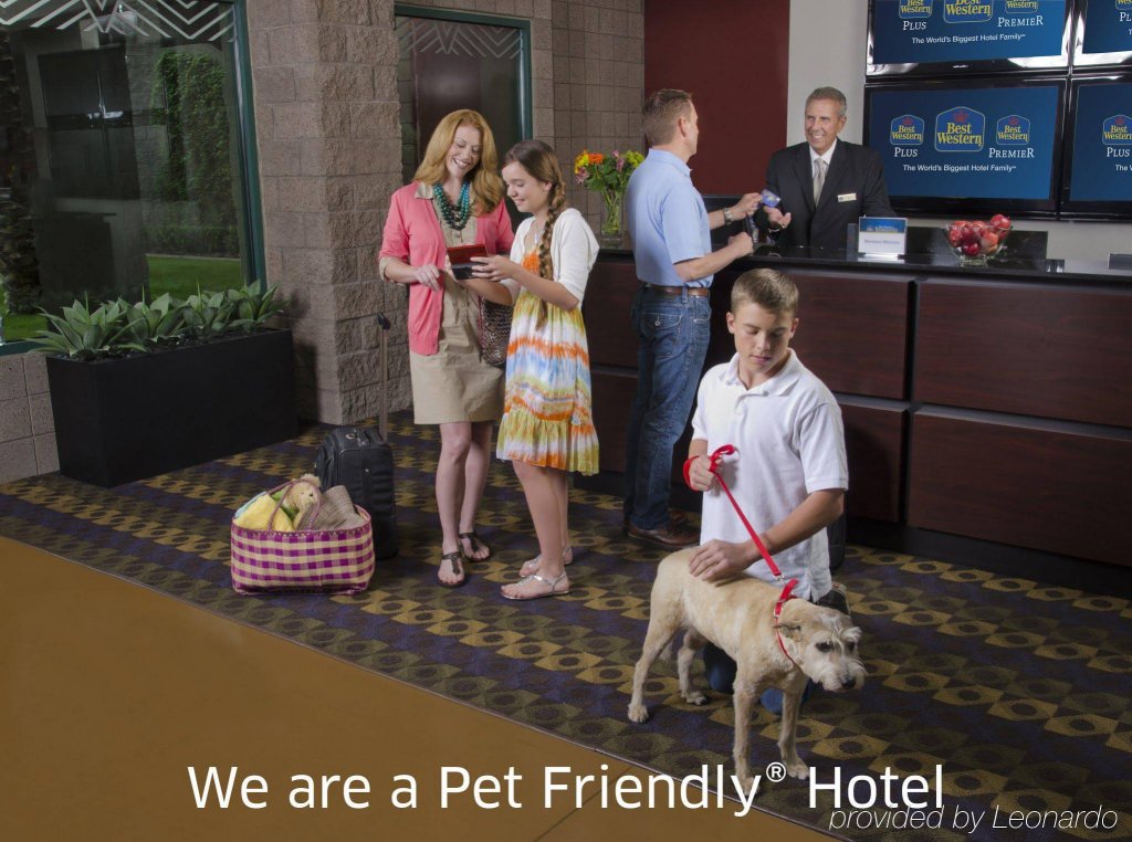 Фото Best Western Plus Belize Biltmore Plaza