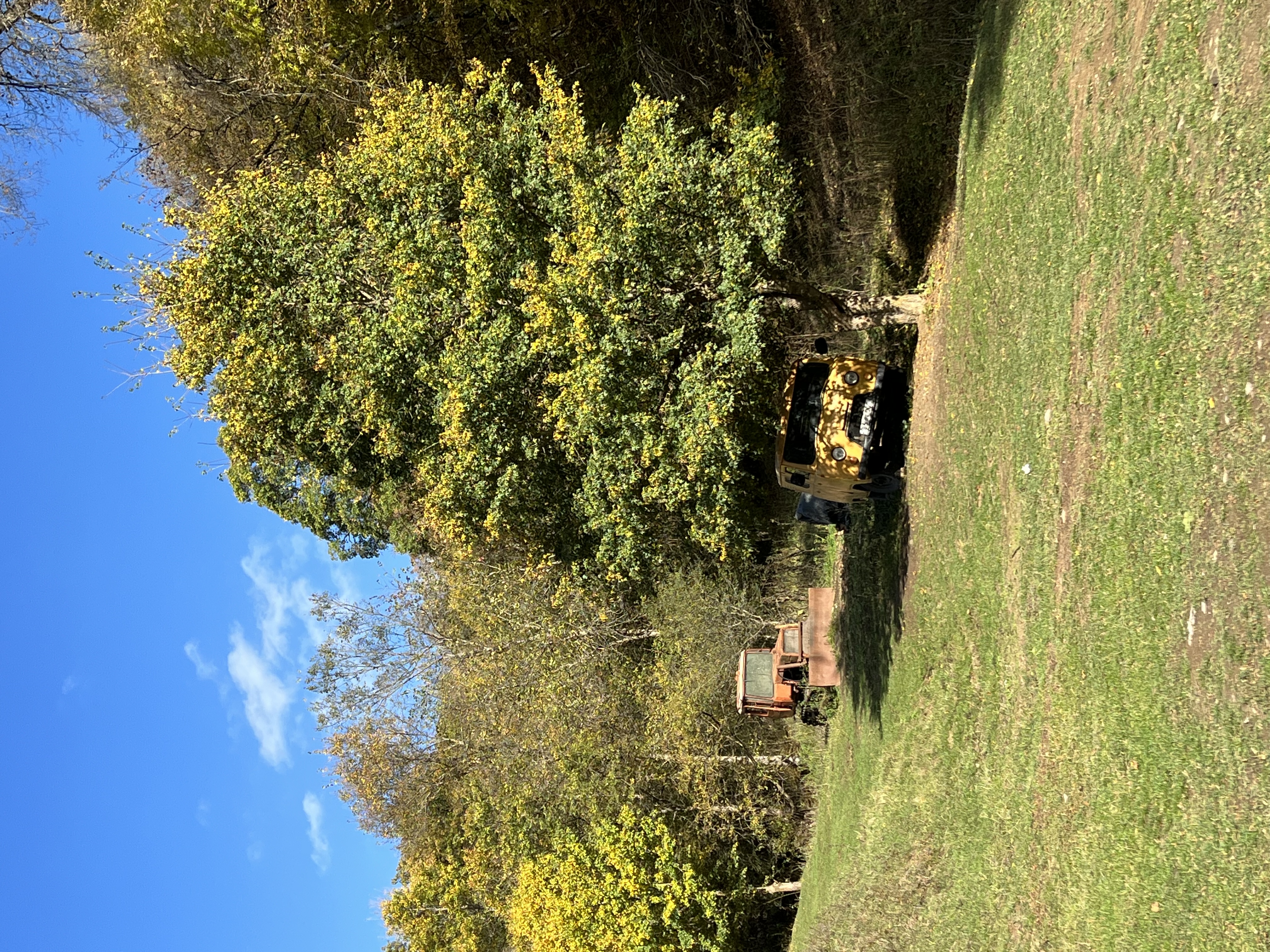 Фото Ecokayan Dilijan Resort Hotel