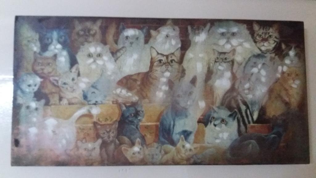 Фото Gatti al Borgo