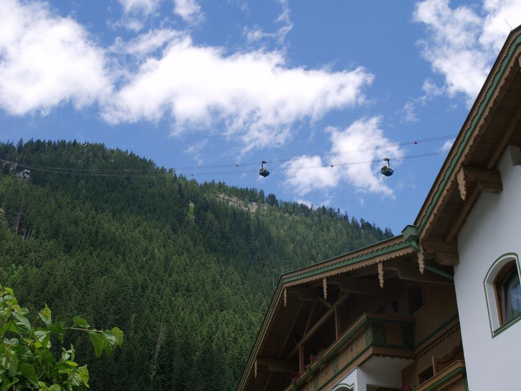 Фото Alpenhotel Ferienhof