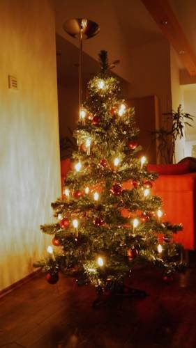 Фото Altstadtpenthouse Monika