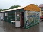 У Татьяны (ulitsa Gorkogo, 43А), flower shop