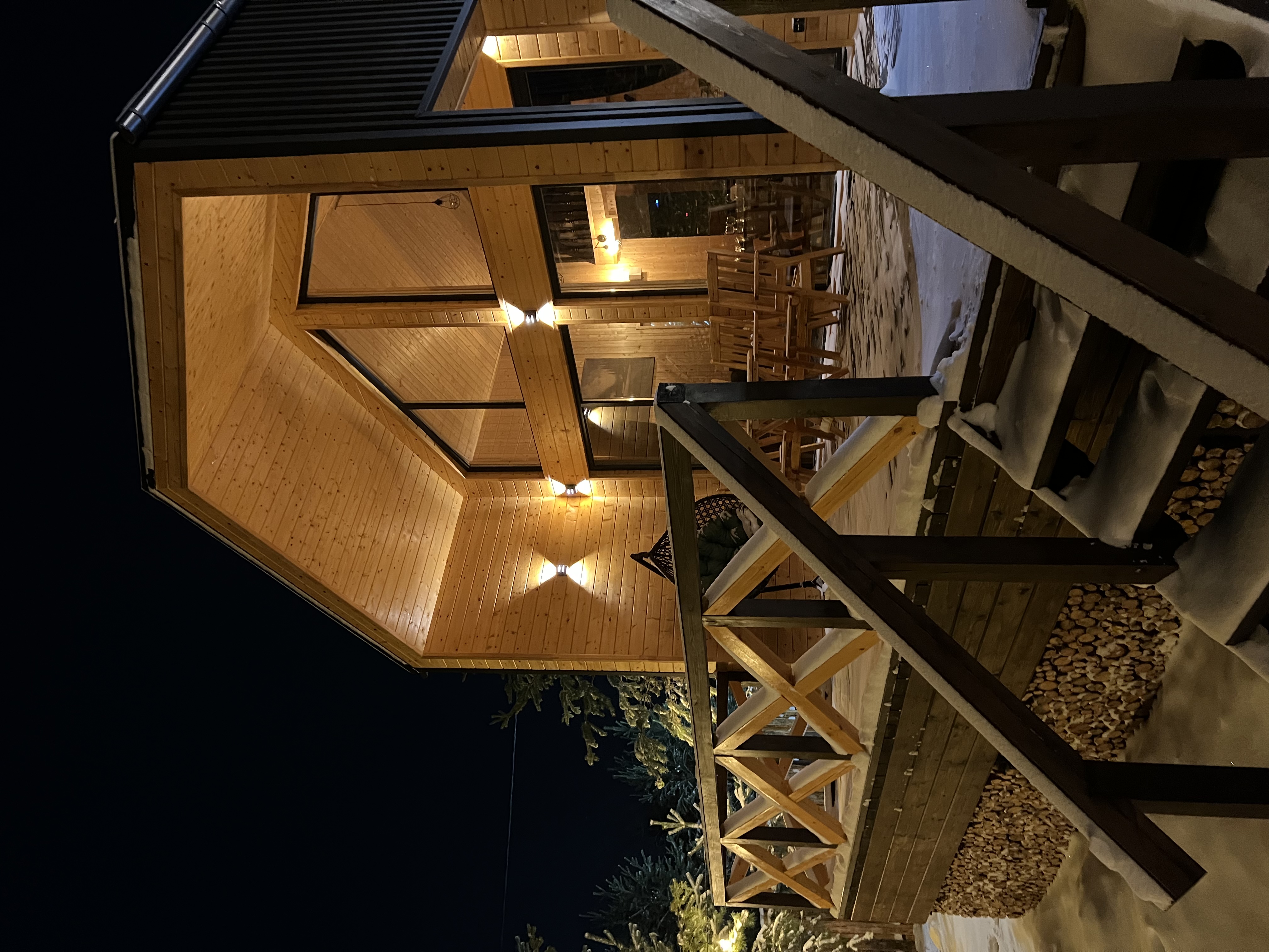 Фото Два Лося