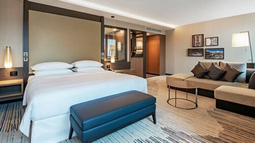 Гостиница Sheraton Grand Tbilisi Metechi Palace в Тбилиси