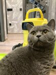 Chisto ot dushi (Pobedy Square, 4), cleaning services
