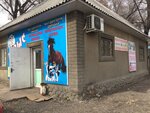 Barys (Raiymbek Avenue, 223Б) ، صيدلية بيطرية