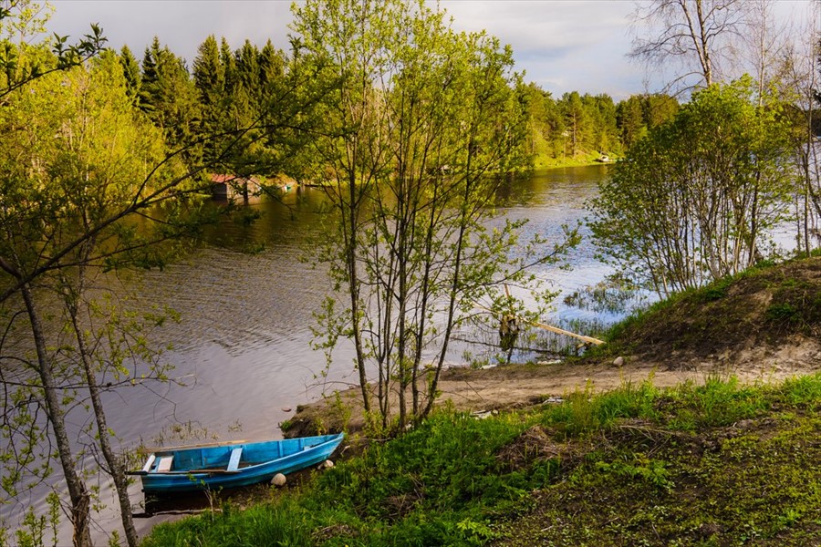 Фото Алавойне