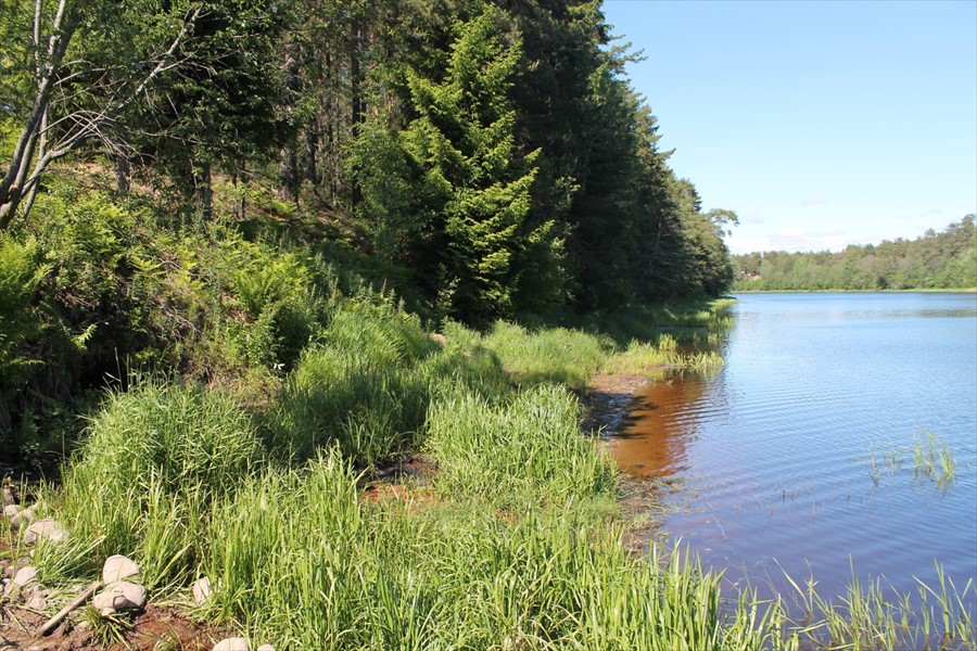 Фото Алавойне