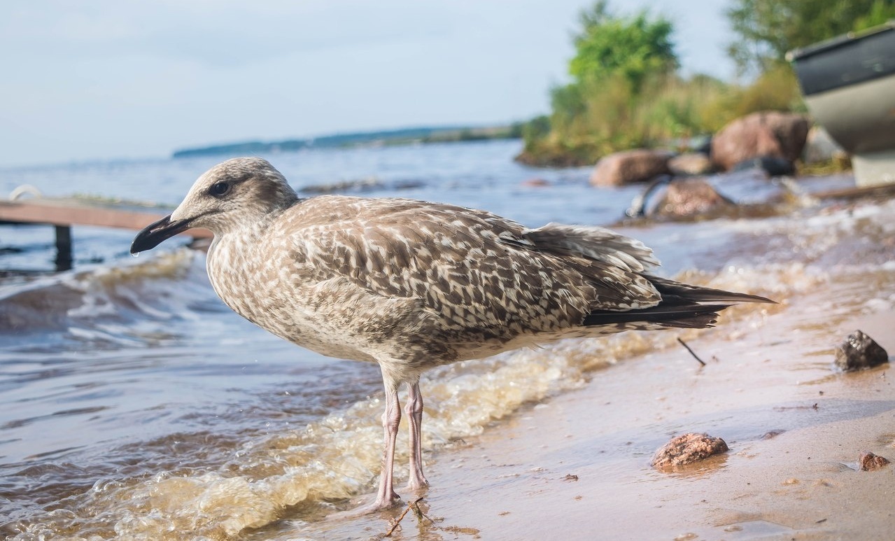 Фото Тихая гавань