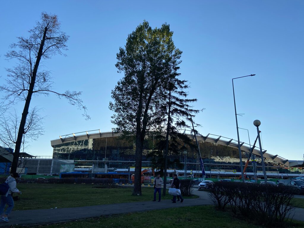 Терминал аэропорта Международный аэропорт Внуково, терминал D, Москва, фото