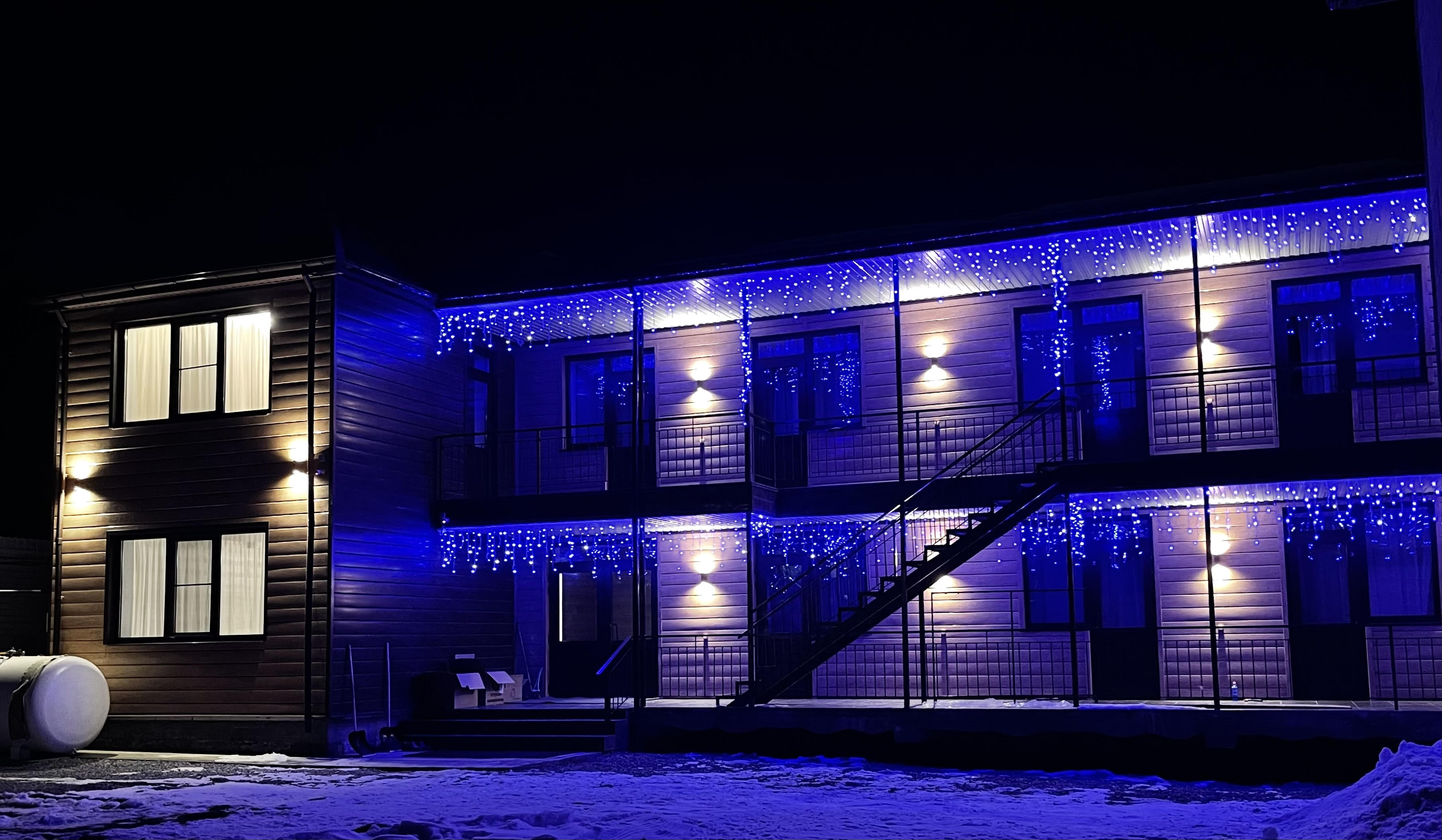 Фото Пихты Snow Point