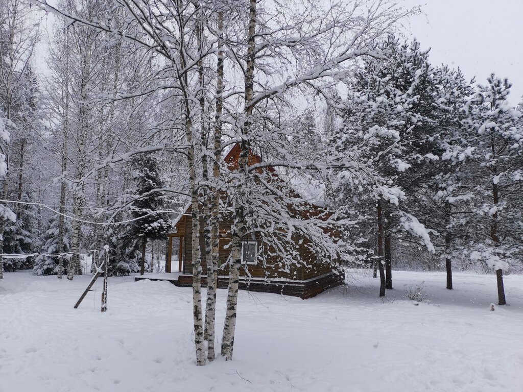 Cottage settlement Svetloye Dacha, Saint‑Petersburg and Leningrad Oblast, photo